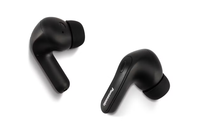 Panasonic RZ-B310W Hybrid Noise Cancelling Wireless In-Ear Headphones Black