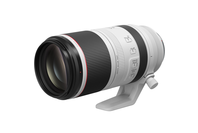 Canon RF 100-500mm f/4.5-7.1L IS USM Lens