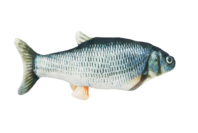 Pettecc Flippy Fish Blue