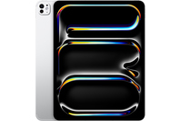 Apple 13" iPad Pro WiFi 2TB with Standard Glass Silver